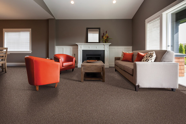 What makes carpet a good option for your home?