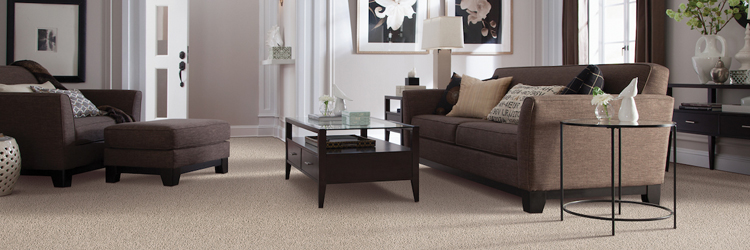 Guide to the Best Soft Carpet