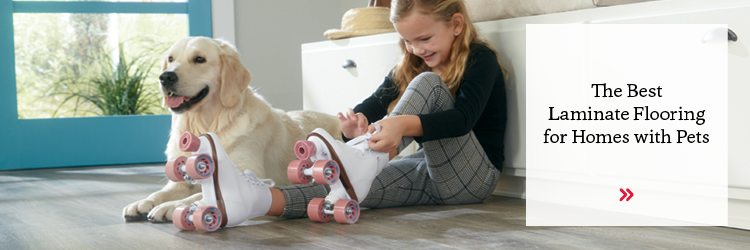 Choosing the Best Laminate Floor for Dog Owners