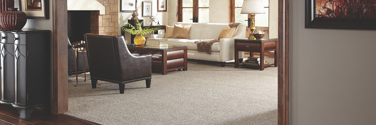 Wall to Wall Carpet information
